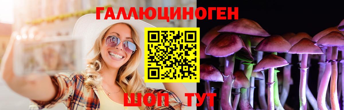 Галлюциногенные грибы Cubensis  Псилоцибиновые грибы MAGIC MUSHROOMS  Вход с VPN  Назарово 
